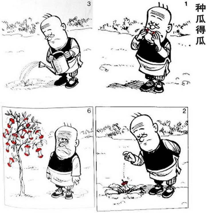 好好种瓜